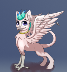 Size: 3454x3703 | Tagged: safe, artist:luxsimx, oc, oc only, oc:darko, hippogriff, high res, hippogriff oc, male, solo, wings