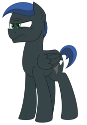 Size: 3281x4688 | Tagged: safe, artist:besttubahorse, oc, oc only, oc:derecho murus, pegasus, pony, male, simple background, solo, stallion, transparent background, unhappy, vector