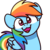 Size: 1000x1000 | Tagged: safe, artist:sugar morning, rainbow dash, pegasus, pony, g4, :3, bust, cute, dashabetes, female, looking at you, mare, open mouth, simple background, smiling, solo, sugar morning's smiling ponies, transparent background