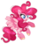 Size: 1328x1522 | Tagged: safe, artist:angellightyt, pinkie pie, pegasus, pony, g4, base used, female, g5 concept leak style, g5 concept leaks, hoof fluff, pegasus pinkie pie, pinkie pie (g5 concept leak), race swap, simple background, solo, transparent background