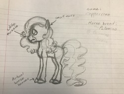 Size: 3559x2704 | Tagged: safe, artist:littlemissyxdl, oc, oc only, oc:cappuccino, earth pony, pony, female, high res, lined paper, mare, monochrome, sketch, solo, traditional art