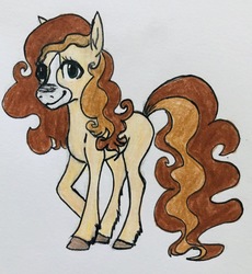 Size: 1885x2046 | Tagged: safe, artist:littlemissyxdl, oc, oc only, oc:cappuccino, earth pony, pony, female, looking at you, mare, solo, traditional art