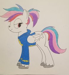 Size: 1960x2113 | Tagged: safe, artist:cmdr_northstar, oc, oc only, oc:northstar, pony, clothes, hoodie, pegasus oc, solo, traditional art, wonderbolts