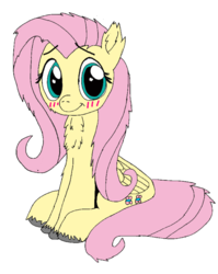 Size: 817x1024 | Tagged: safe, artist:danksailor, fluttershy, pony, g4, blushing, chest fluff, cute, female, fluffy, shyabetes, simple background, solo, transparent background, unshorn fetlocks