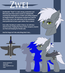 Size: 3500x3900 | Tagged: safe, artist:snowstormbat, oc, oc only, oc:zweihander, bat pony, pony, fallout equestria, fallout equestria: moonlight, hazel eyes, high res, male, reference sheet, solo