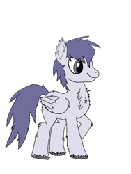 Size: 768x1024 | Tagged: safe, artist:danksailor, oc, oc only, oc:lofty withers, pony, fluffy, male, request, solo, stallion