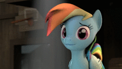 Size: 1920x1080 | Tagged: safe, artist:ferexes, rainbow dash, pegasus, pony, g4, 3d, animated, female, mare, reaction image, solo, sound, source filmmaker, stupidity, webm