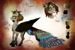 Size: 1350x900 | Tagged: safe, artist:black-opal1, oc, oc only, oc:peacock plume, pegasus, pony, brown background, female, mare, peacock feathers, peacock tail, reference sheet, simple background, solo