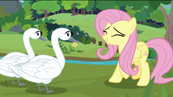 Size: 1920x1080 | Tagged: safe, screencap, fluttershy, bird, pegasus, pony, swan, g4, the last problem, eyes closed, female, happy, mare, river, smiling, tree