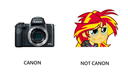 Size: 684x426 | Tagged: safe, edit, sunset shimmer, equestria girls, g4, abuse, background pony strikes again, camera, canon, op is a duck, op is trying to start shit, op isn't even trying anymore, pun, sad, shimmerbuse, shitposting, sunsad shimmer, sunsetabuse, visual pun