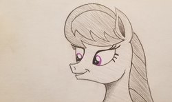 Size: 2048x1213 | Tagged: safe, artist:polar_storm, octavia melody, earth pony, pony, g4, female, mare, purple eyes, simple background, sketch, solo, traditional art