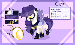 Size: 5000x3000 | Tagged: safe, artist:sugaryicecreammlp, oc, oc only, oc:hiree, pegasus, pony, colored pupils, female, mare, reference sheet, solo