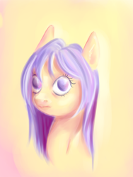 Size: 2487x3315 | Tagged: safe, artist:coco-drillo, oc, oc only, earth pony, pony, bust, colorful, high res, orange coat, portrait, purple eyes, purple mane, solo