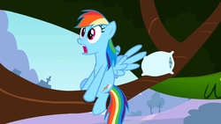 Size: 1280x720 | Tagged: safe, screencap, rainbow dash, pegasus, pony, g4, may the best pet win, female, mare, pillow, solo, tree, tree branch
