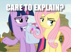 Size: 551x404 | Tagged: safe, edit, edited screencap, screencap, fluttershy, twilight sparkle, alicorn, pony, g4, growing up is hard to do, caption, cropped, discovery family logo, duo, flower, image macro, pointing, question, saddle bag, text, twilight sparkle (alicorn), unamused, wishing flower