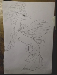 Size: 778x1021 | Tagged: source needed, safe, artist:henry forewen, queen novo, seapony (g4), g4, female, fusion, monochrome, sketch, solo, traditional art
