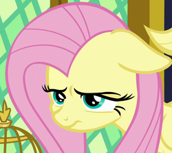 Size: 772x690 | Tagged: safe, screencap, applejack, fluttershy, pegasus, pony, g4, the last problem, bird cage, cropped, female, floppy ears, mare, narrowed eyes, sad, solo focus