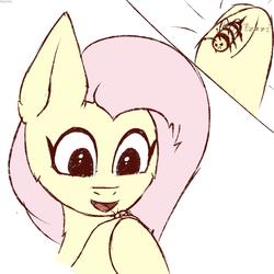 Size: 1200x1200 | Tagged: safe, artist:glazirka, fluttershy, bee, insect, pegasus, pony, g4, angry, bust, buzzing, bzzzzz, female, hoof hold, looking at something, looking down, mare, no pupils, onomatopoeia, open mouth, smiling, underhoof