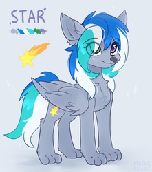 Size: 1690x1910 | Tagged: safe, artist:magicbalance, oc, oc only, oc:star shine, pegasus, pony, wolf, wolf pony, chest fluff, cutie mark, heterochromia, paws, reference sheet, simple background, solo