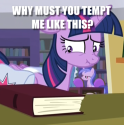 Size: 704x710 | Tagged: safe, edit, edited screencap, screencap, twilight sparkle, alicorn, the point of no return, book, bookshelf, caption, cropped, eyes on the prize, image macro, library, saddle bag, scrunchy face, temptation, text, that pony sure does love books, twilight sparkle (alicorn)