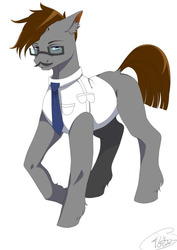 Size: 566x800 | Tagged: safe, artist:月莲玉莺, derpibooru exclusive, oc, oc only, oc:skyson, earth pony, pony, clothes, glasses, looking at you, male, necktie, shirt, simple background, solo, stallion, watermark, white background