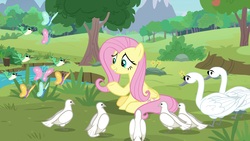 Size: 1920x1080 | Tagged: safe, screencap, fluttershy, bird, butterfly, pony, swan, g4, the last problem, piper perri surrounded