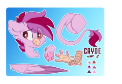 Size: 6858x4703 | Tagged: safe, artist:spoopygander, oc, oc:cayde, griffon, beak, claws, colored wings, leonine tail, male, multicolored hair, multicolored wings, paw pads, paws, reference sheet, text, wings