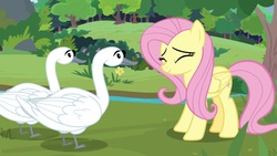 Size: 1920x1080 | Tagged: safe, screencap, fluttershy, bird, pegasus, pony, swan, g4, the last problem, cheerful, cute, eyes closed, female, folded wings, mare, mate, smiling, solo, wings