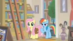 Size: 1920x1080 | Tagged: safe, screencap, fluttershy, rainbow dash, pony, daring doubt, g4, bedroom eyes, book, bookshelf, bookstore, discovery family logo, duo, ladder, library, saddle bag