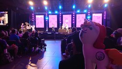 Size: 1024x576 | Tagged: safe, oc, oc:miss libussa, pony, bronycon, auction, charity auction, united states