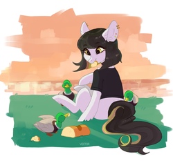 Size: 1000x930 | Tagged: safe, artist:zlatavector, oc, oc only, bird, duck, pony, bread, food, gift art, recreation, relaxing, solo