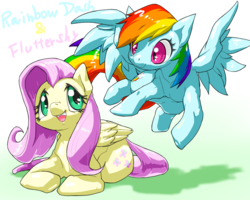 Size: 1280x1024 | Tagged: safe, artist:itomakitank, fluttershy, rainbow dash, pegasus, pony, g4, cute, dashabetes, duo, female, looking at each other, mare, open mouth, pixiv, prone, shyabetes