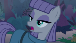 Size: 1920x1080 | Tagged: safe, screencap, maud pie, pony, g4, student counsel, female, solo