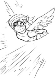 Size: 1748x2480 | Tagged: safe, artist:franschesco, rainbow dash, anthro, g4, flying, glasses, sketch