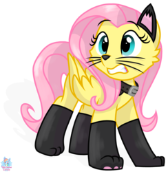 Size: 1353x1385 | Tagged: safe, artist:rainbow eevee, fluttershy, cat, pegasus, pony, g4, cat ears, clothes, collar, costume, cute, dork, eyelashes, female, fluttercat, gritted teeth, shyabetes, simple background, socks, solo, transparent background, whiskers, worried