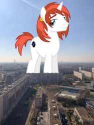 Size: 3024x4032 | Tagged: safe, artist:dragonchaser123, artist:thegiantponyfan, long play, pony, unicorn, france, giant pony, highrise ponies, irl, macro, male, paris, photo, ponies in real life, stallion