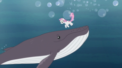 Size: 2000x1124 | Tagged: safe, screencap, sweetie belle, humpback whale, pony, unicorn, whale, g4, growing up is hard to do, animal, being big is all it takes, cutie mark, female, mare, older, older sweetie belle, solo, the cmc's cutie marks, underwater