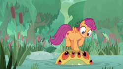 Size: 2000x1124 | Tagged: safe, screencap, scootaloo, bufogren, pegasus, pony, g4, growing up is hard to do, cattails, cutie mark, female, hayseed swamp, looking down, looking up, mare, older, older scootaloo, raised hoof, reeds, swamp, the cmc's cutie marks, tree