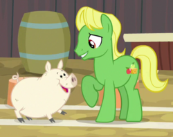 Size: 413x327 | Tagged: safe, screencap, wensley, earth pony, pig, pony, g4, growing up is hard to do, animal, apple family member, background pony, barrel, cloven hooves, cropped, duo, looking at each other, male, pet, stallion