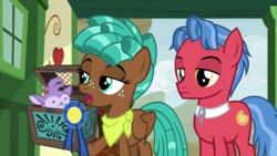 Size: 2000x1124 | Tagged: safe, screencap, biscuit, bloofy, spur, earth pony, pegasus, pony, whirling mungtooth, g4, growing up is hard to do, bandana, blue ribbon, box, female, lidded eyes, male, open mouth, teenager, trio