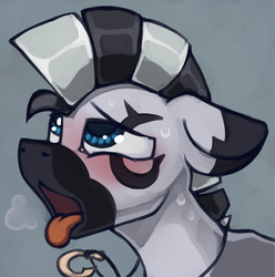 Size: 1854x1867 | Tagged: safe, artist:marsminer, oc, oc only, oc:kona, pony, zebra, ahegao, face, male, open mouth, quadrupedal, solo, tongue out