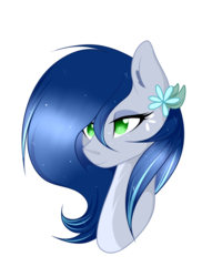 Size: 1200x1500 | Tagged: safe, artist:takan0, oc, oc only, pony, bust, countershading, female, mare, portrait, simple background, solo, transparent background