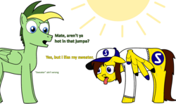 Size: 1161x688 | Tagged: safe, artist:didgereethebrony, oc, oc:didgeree, oc:ponyseb, pegasus, pony, cap, clothes, cutie mark, dialogue, hat, panting, simple background, sun, sweat, sweater, sweater weather, tongue out, transparent background