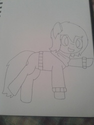 Size: 2576x1932 | Tagged: safe, artist:derpy_the_duck, oc, oc only, oc:derp, earth pony, pony, clothes, solo, traditional art