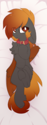 Size: 456x1212 | Tagged: safe, artist:php146, oc, oc only, earth pony, pony, body pillow, body pillow design, chest fluff, collar, floppy ears, male, solo, stallion