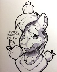 Size: 1152x1440 | Tagged: safe, artist:mychelle, big macintosh, earth pony, pony, g4, apple, bust, food, freckles, horse collar, inktober, inktober 2019, male, monochrome, portrait, solo, stallion, straw in mouth, traditional art
