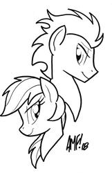 Size: 2036x3144 | Tagged: source needed, safe, artist:tony fleecs, rainbow dash, soarin', pony, g4, commission, female, high res, male, ship:soarindash, shipping, straight