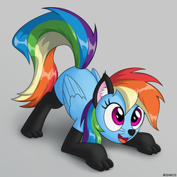 Size: 5000x5000 | Tagged: safe, artist:irisarco, rainbow dash, pegasus, pony, g4, adorasexy, animal costume, cat costume, cat ears, clothes, costume, cute, dashabetes, female, mare, nightmare night, open mouth, paw socks, sexy, simple background, smiling, socks, solo, thigh highs