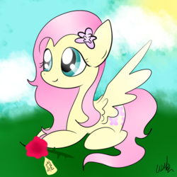 Size: 500x500 | Tagged: safe, artist:wisheslotus, fluttershy, pegasus, pony, g4, cloud, female, flower, mare, prone, rose, signature, solo, sun