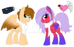 Size: 1600x1012 | Tagged: safe, artist:crystal-tranquility, oc, oc only, oc:nimbus heart, oc:quick focus, pegasus, pony, clothes, deviantart watermark, female, male, mare, obtrusive watermark, scarf, simple background, stallion, transparent background, watermark
